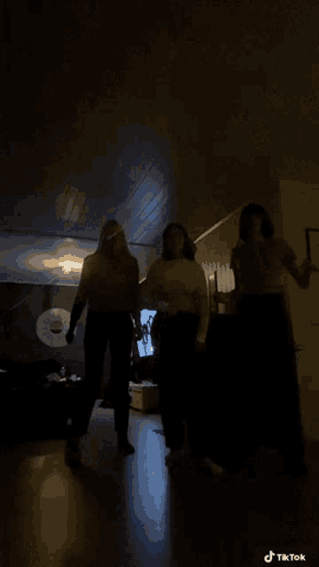 two people are dancing in a dark room with a tiktok watermark