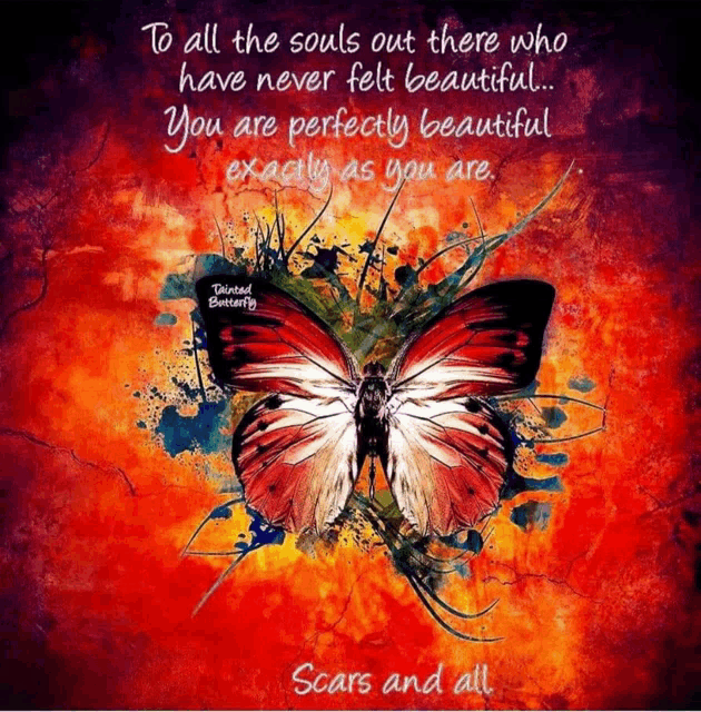 a painting of a butterfly with a quote on it
