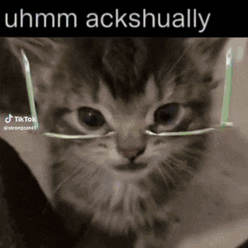 a close up of a cat wearing glasses with the caption uhmm ackshually