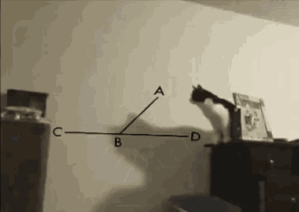 Cat Jump GIF - Cat Jump Mron GIFs