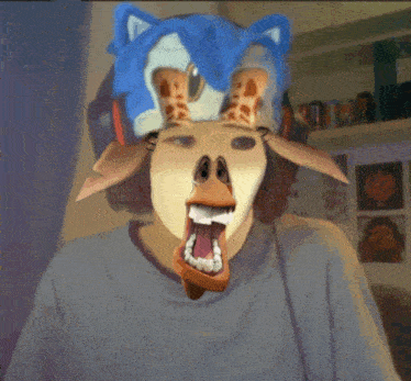 a blurry picture of a giraffe 's head in front of a wall of basketball hoops