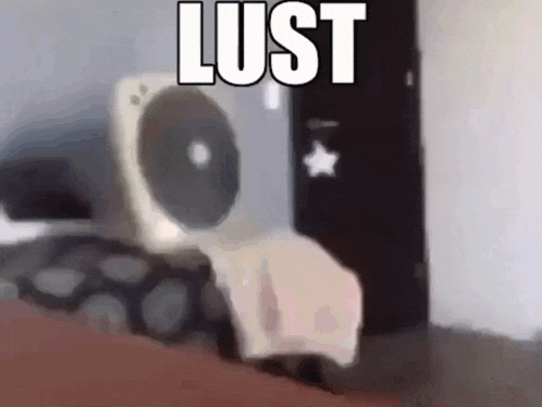 a picture of a fan with the word lust in white letters