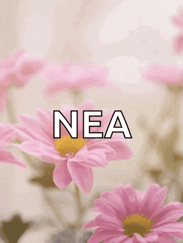 a happy mother 's day card with pink flowers