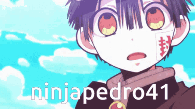 a picture of a boy with the name ninjapedro41 below it