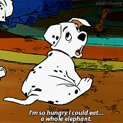 All Day Every Day GIF - 101dalmatians Rolly Hungry GIFs