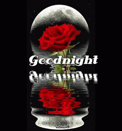 Goodnight Full Moon GIF - Goodnight Full Moon Red Rose GIFs