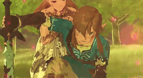 Link The Legend Of Zelda GIF - Link The Legend Of Zelda Breath Of The Wild Link GIFs