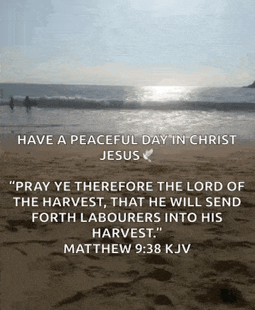 there is a bible verse on the beach that says `` pray ye therefore the lord of the harvest