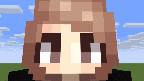 a close up of a minecraft character 's face