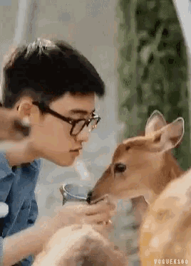 a young man with glasses is feeding a deer from a glass .