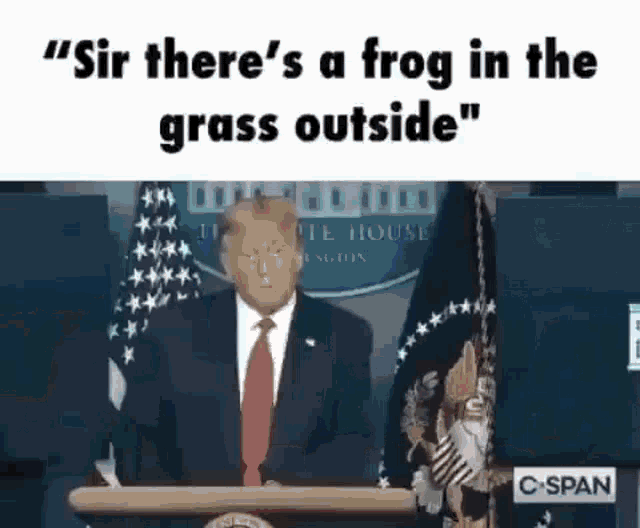 donald trump is giving a speech at a podium and says `` sir there 's a frog in the grass outside ``