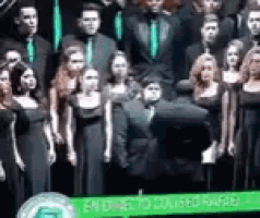 a group of people standing next to each other in front of a green sign that says en direct to counsel panel .