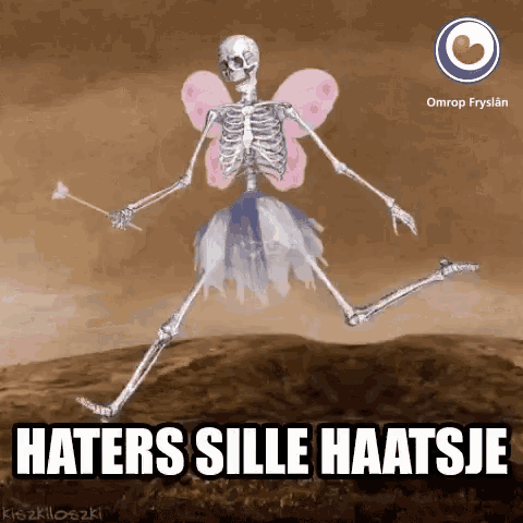 a skeleton dressed as a fairy with the words haters sille haatsje underneath it