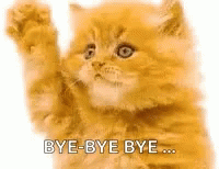 Bye Kitten GIF - Bye Kitten Goodbye GIFs