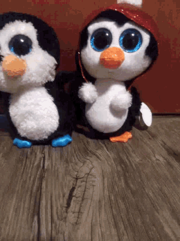 Twins Penguin GIF
