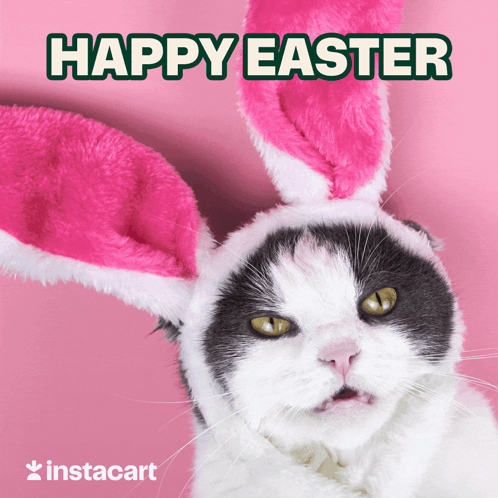 Happy Easter Easter Kitty GIF - Happy Easter Easter Kitty Easter Cat GIFs