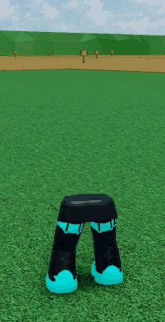 a pair of blue and black boots are standing in a field