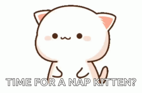 Nap Time Grumpy GIF - Nap Time Grumpy Cat GIFs