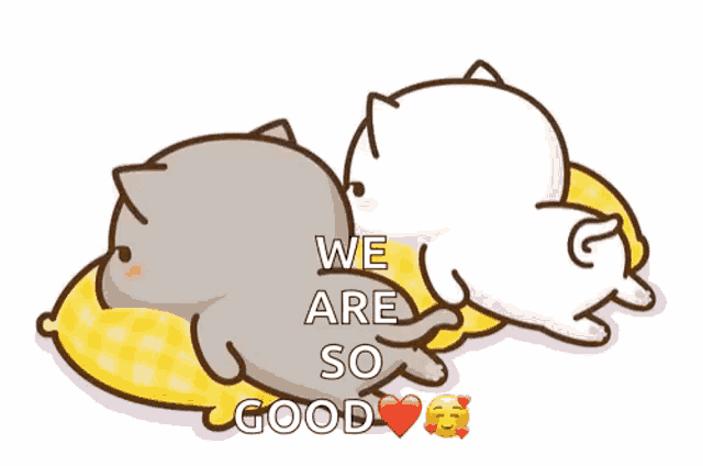 two cartoon cats laying on a pillow with the words " we are so good " on the bottom