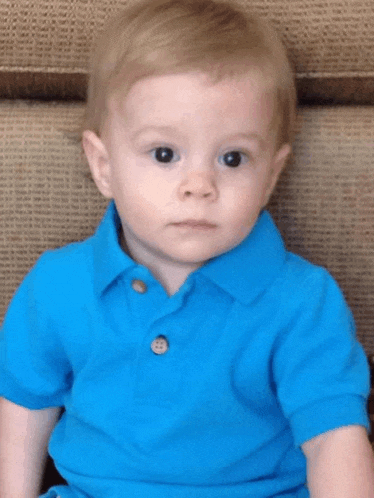 a young boy wearing a blue polo shirt is sitting on a couch and looking at the camera