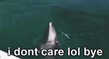 a dolphin is jumping out of the water with the words `` i dont care lol bye '' next to it .