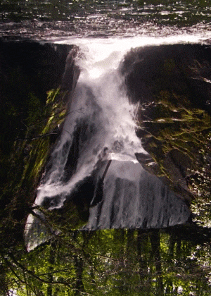 a waterfall is surrounded by trees and moss