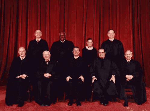 Deal With It GIF - Deal With It America Supreme Court GIFs