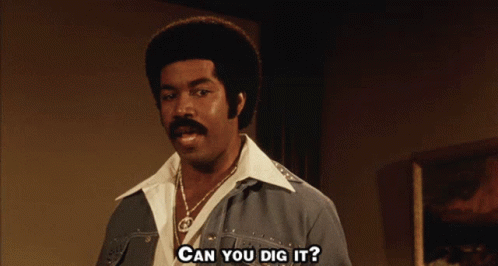 Black Dynamite Can You Dig It GIF - Black Dynamite Can You Dig It Serious GIFs