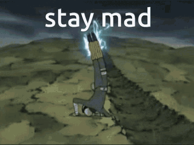 a picture of a cartoon character with the words stay mad on the bottom