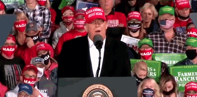 Donald Trump Hands Up GIF - Donald Trump Hands Up Campaign Rally GIFs