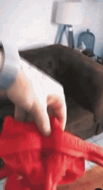 a person is holding a red cloth in front of a brown couch .