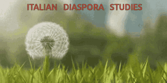 Italian Diaspora Studies GIF - Italian Diaspora Studies GIFs