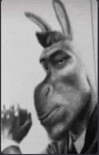 a black and white photo of a man with a donkey mask on his head .