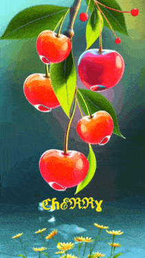 a bunch of cherries are hanging from a tree branch and the word cherry is on the bottom