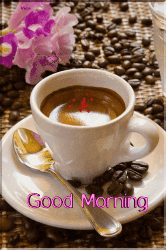 Good Morning GIF