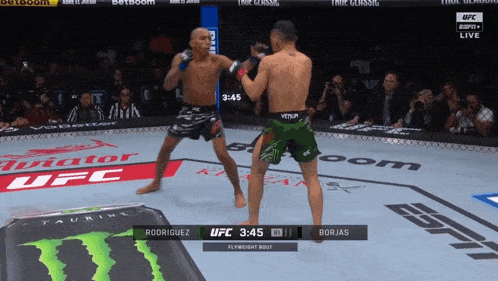 a ufc fight between rodriguez and borjas is underway