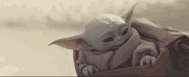a baby yoda is sitting in a bag on a beach .