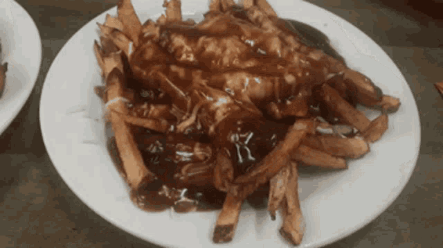 a plate of french fries with gravy on top