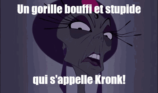 Kuzco Yzma GIF - Kuzco Yzma Gorille Bouffi Et Stupide Qui S Appelle Kronk GIFs