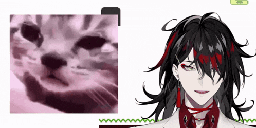 a close up of a cat and a close up of a person with long black hair