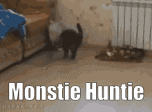 a cat is walking in a room with the words monstic huntie above it