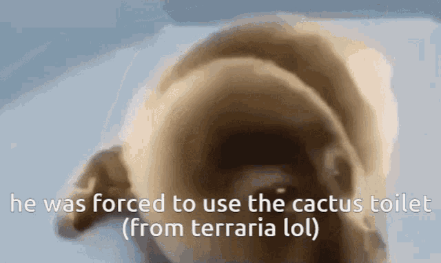 He Was Forced To Use The Cactus Toilet From Terraria Lol Cactus GIF - He Was Forced To Use The Cactus Toilet From Terraria Lol He Was Forced To Use The Cactus Toilet Cactus Toilet GIFs