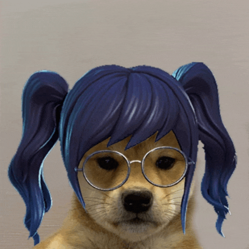 a dog wearing glasses and a blue wig with pigtails
