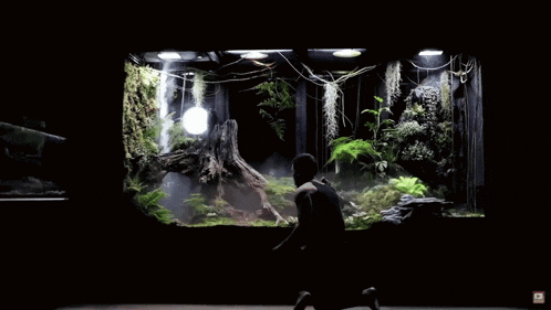 a man is kneeling in front of a large aquarium with a youtube logo on the bottom right