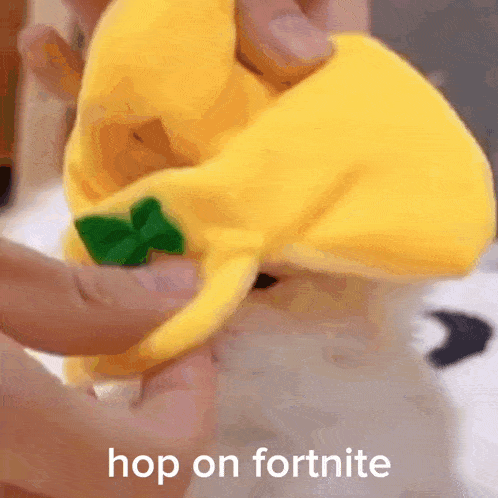Hop On Fortnite Banana Cat GIF - Hop On Fortnite Fortnite Banana Cat GIFs