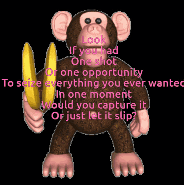 a monkey is holding a banana and says look if you had one shot or one opportunity to seize everything you ever wanted in one moment