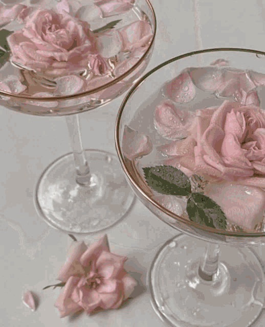 a girl is wearing a white shirt with a pink bow tie .