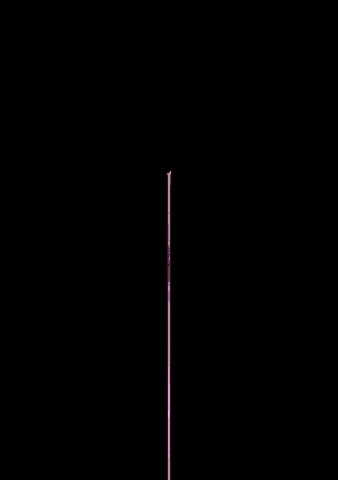 a pink flower with a yellow center is against a black background