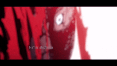 a close up of a person 's face with the words ninjaisticninja on the bottom right