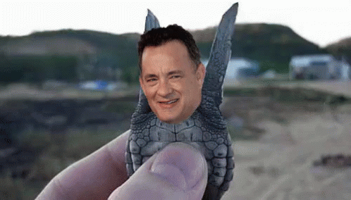 Wtf Tom Hanks GIF - Wtf Tom Hanks Flapping GIFs